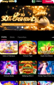 MoneyWin Game