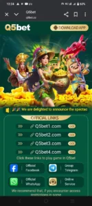 Q5Bet Game
