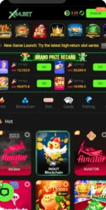 X44 Bet Game