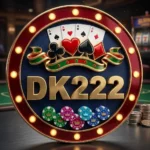DK222 Game