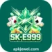 SK E999