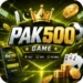 Pak500 Game