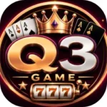 Q3 Game
