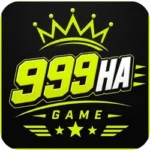 999ha Game