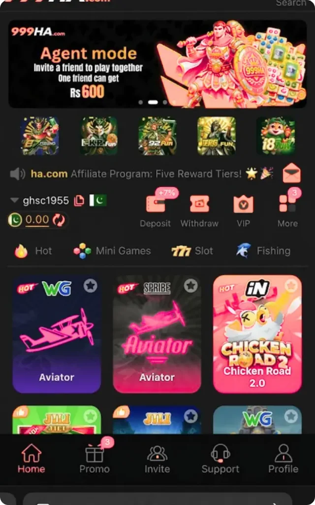 999ha Game